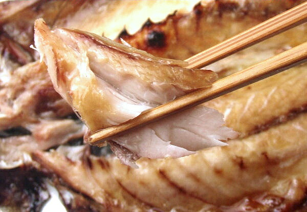 �y���i�ԍ��wIK�x�̂ݓ����\�z<br>�V�R���@�����e��l����(F)