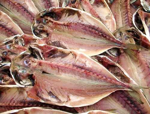 �y���i�ԍ��wIK�x�̂ݓ����\�z<br>�ΐ쐅�Y�@�܂��������Z�b�g�i15���j