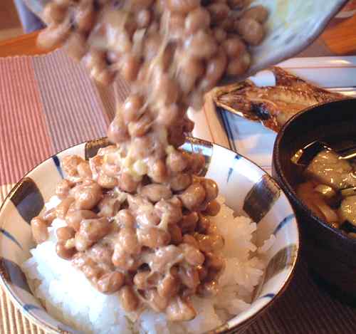 �y���i�ԍ��wKG�x�̂ݓ����\�z<br>�y����[���z<BR>�k�C���Y��ۑ哤<BR>�O�܂�[��90���~5�p�b�N