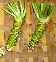 �y�����܂ł�1�T�ԁ`10���قǂ����Ԃ����������܂��B�z<br>����ƍN��X�点���I�L���؂́u�ɏ�{�킳�сv�y�s�Ȃ��z