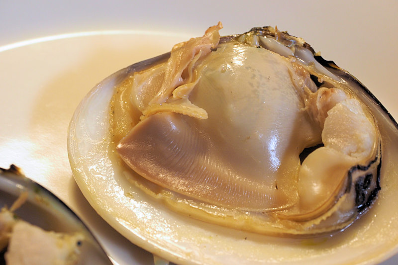 湘南ハマグリの網焼き。醤油は不要。ハマグリが含む海水の旨みだけで十分！